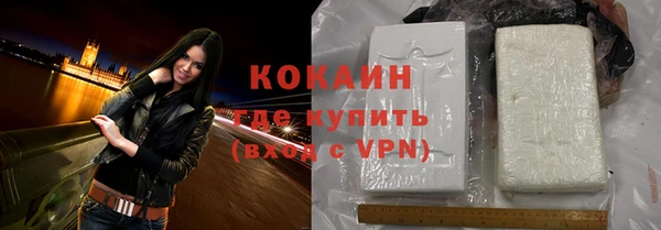 гашик Аркадак