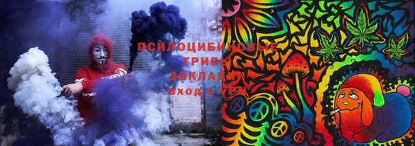 гашик Аркадак